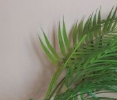 Продать Квартиры вторичка Лиговский проспект, 56Б   