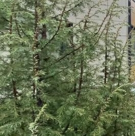 Продажа 1-комн квартиры на вторичном рынке Кузьмоловский пгт, улица Придорожная, 1к4 Продажа 1-комн квартиры на вторичном рынке Кузьмоловский пгт, улица Придорожная, 1к4