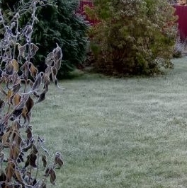 Продажа земли Дружба садовое товарищество, 452