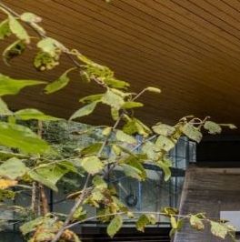 Продажа дома Репино Парк кп, д. 321 Продажа дома Репино Парк кп, д. 321