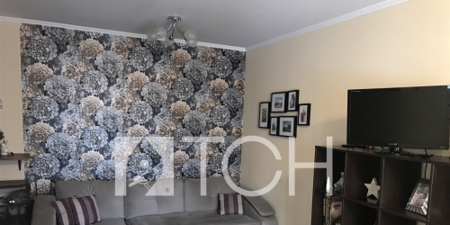 2-комн квартира Пушкино, 1-й Фабричный проезд, 12А