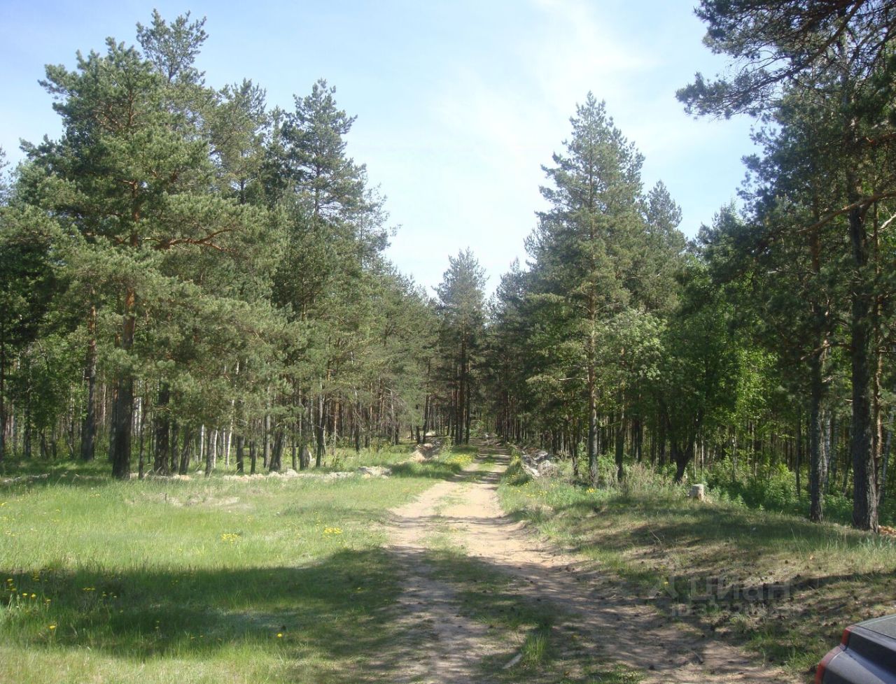 Продажа земли Толмачево городской поселок