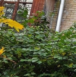 Продажа комнаты улица Летчика Бабушкина, 4