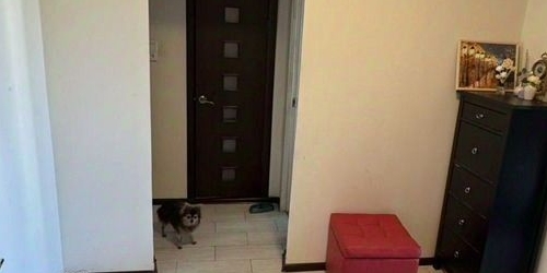 2-комн квартира Бескудниковский бульвар, 56к1