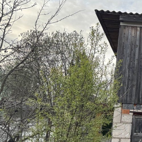 Коттедж/дом Вырица городской поселок