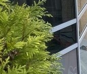 Продать Квартиры вторичка Филипповский переулок, 8С1   