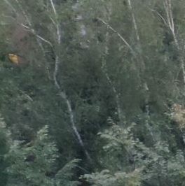 Продажа 2-комн квартиры на вторичном рынке улица Буракова, 5К2 Продажа 2-комн квартиры на вторичном рынке улица Буракова, 5К2