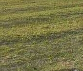 Продать Дачи, коттеджи, загородные дома Фаворит кп, улица Парадная   