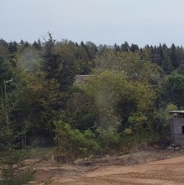 Продажа земли Восход садоводческий массив, Треугольник СНТ, 3-я линия, 16 Продажа земли Восход садоводческий массив, Треугольник СНТ, 3-я линия, 16