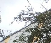 Сдать в аренду Квартиры вторичка Ярославское шоссе, 6К2   