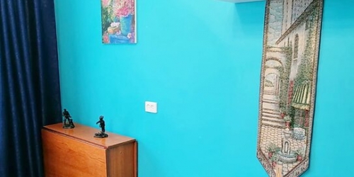 2-комн квартира улица Солдата Корзуна,  д. 18