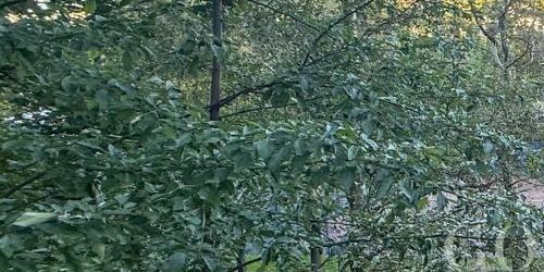 3-комн квартира улица Солдата Корзуна, 42