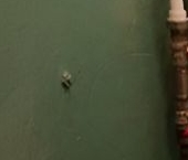 Продать Квартиры вторичка Ивангород, шоссе Кингисеппское  30 