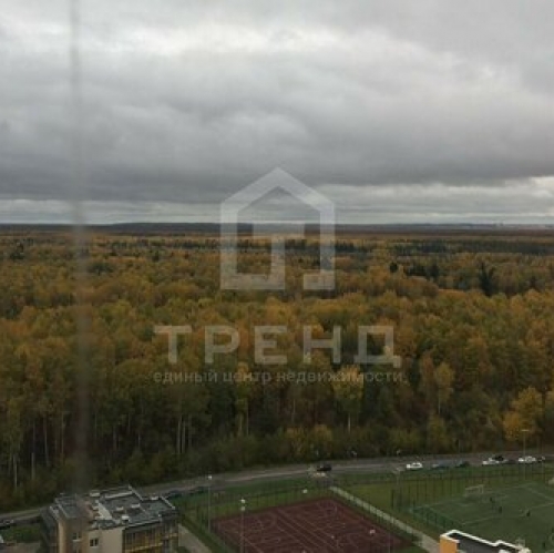 1-комн квартира Пейзажная улица,  д. 24 к3