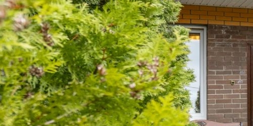 4-комн квартира Зеленогорск, улица Ландышевая, 7