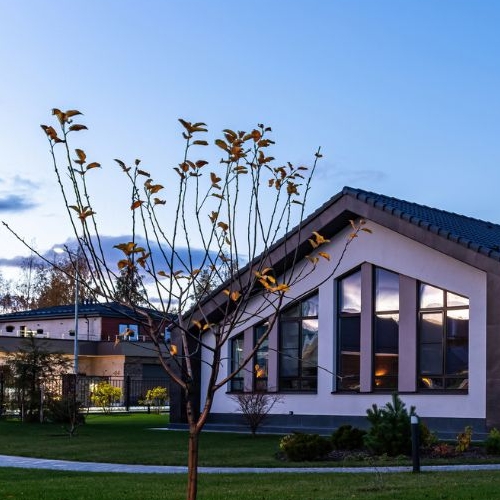 Земельный участок Петергоф, Петергофские Дачи кп