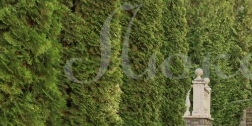 4-комн квартира Береговая улица, 4к10