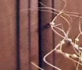 Продать Квартиры вторичка Сергиев Посад, Озерная улица, 11   