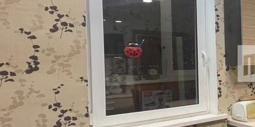 3-комн квартира пос. Шушары, улица Окуловская, 4