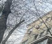 Продать Квартиры вторичка Садовническая улица, 77С2   