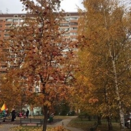 Аренда 1-комн квартиры на вторичном рынке ул Полины Осипенко,  д. 14,  к. 1 стр 1