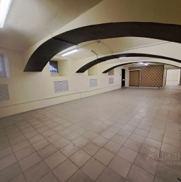 Аренда ПСН Владимирский пр-кт,  д. 13/9