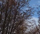 Продать Квартиры вторичка Марьиной Рощи 2-я ул  3 