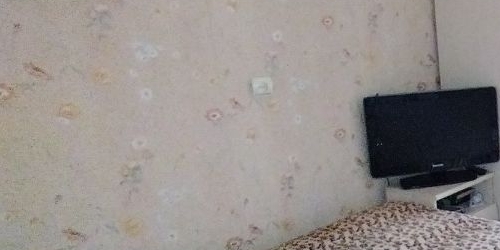 3-комн квартира улица Черкасова, 10К2