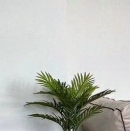 Аренда студии Одинцово, 1 Аренда студии Одинцово, 1