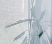 Продать Квартиры вторичка улица Бутлерова, 38К3   