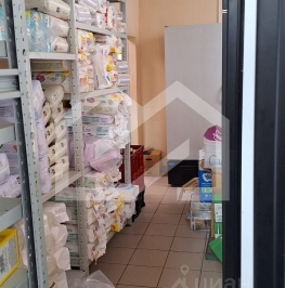 Продажа ПСН ул Миллионная, д. 11, к. 1 Продажа ПСН ул Миллионная, д. 11, к. 1