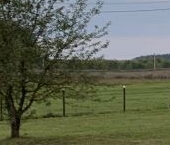 Продать Дачи, коттеджи, загородные дома д. Холоповицы, 38   