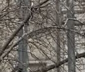 Продать Квартиры вторичка Большой Дровяной переулок, 18   