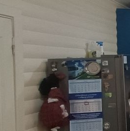 Продажа дома Красное Село, улица Восстановления, 9к1 Продажа дома Красное Село, улица Восстановления, 9к1