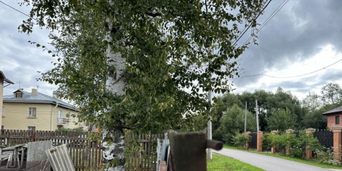 Земельный участок Стрельна г., Нагорная ул. ,  д. 17