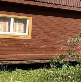 Продажа дома Пупышево садоводческий массив, Сигнал-1 СНТ, 10-я линия, 170