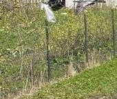 Продать Дачи, коттеджи, загородные дома Келколово-3 садоводческий массив, Фрунзенец СНТ, улица Лесная, 72   