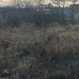 Продажа земли Петровское д,  д. 3