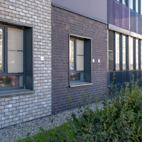 1-комн квартира Янино-1 д, Голландская ул,  д. 5