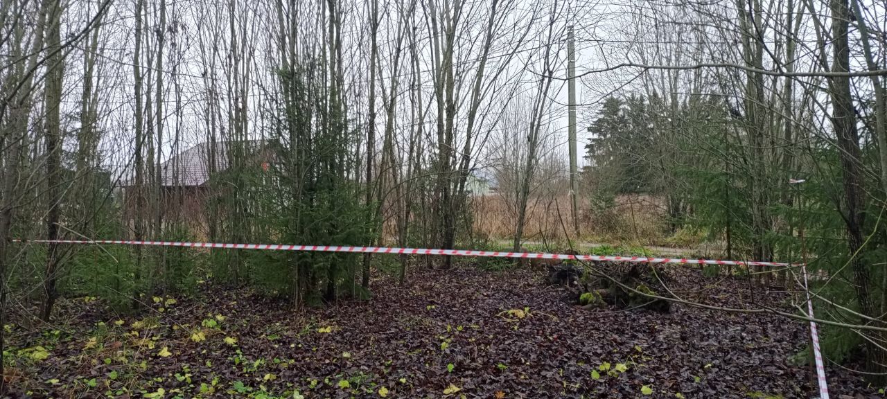 Продажа земли д. Калитино, улица Новодеревенская