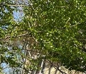 Продать Квартиры вторичка Бойцовая улица, 17К3   