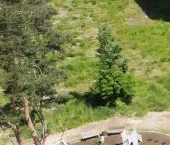 Продать Земельные участки, земля д. Юкки, улица Садовая   