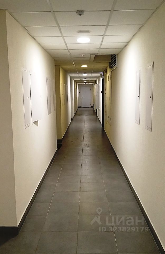 Аренда 2-комн квартиры на вторичном рынке Котельники, улица Сосновая, 5к1