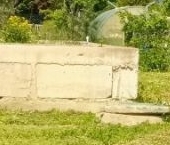 Продать Земельные участки, земля Учхоз садоводческий массив, Астра СНТ  32 