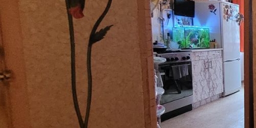 1-комн квартира Федеративный проспект, 26К4