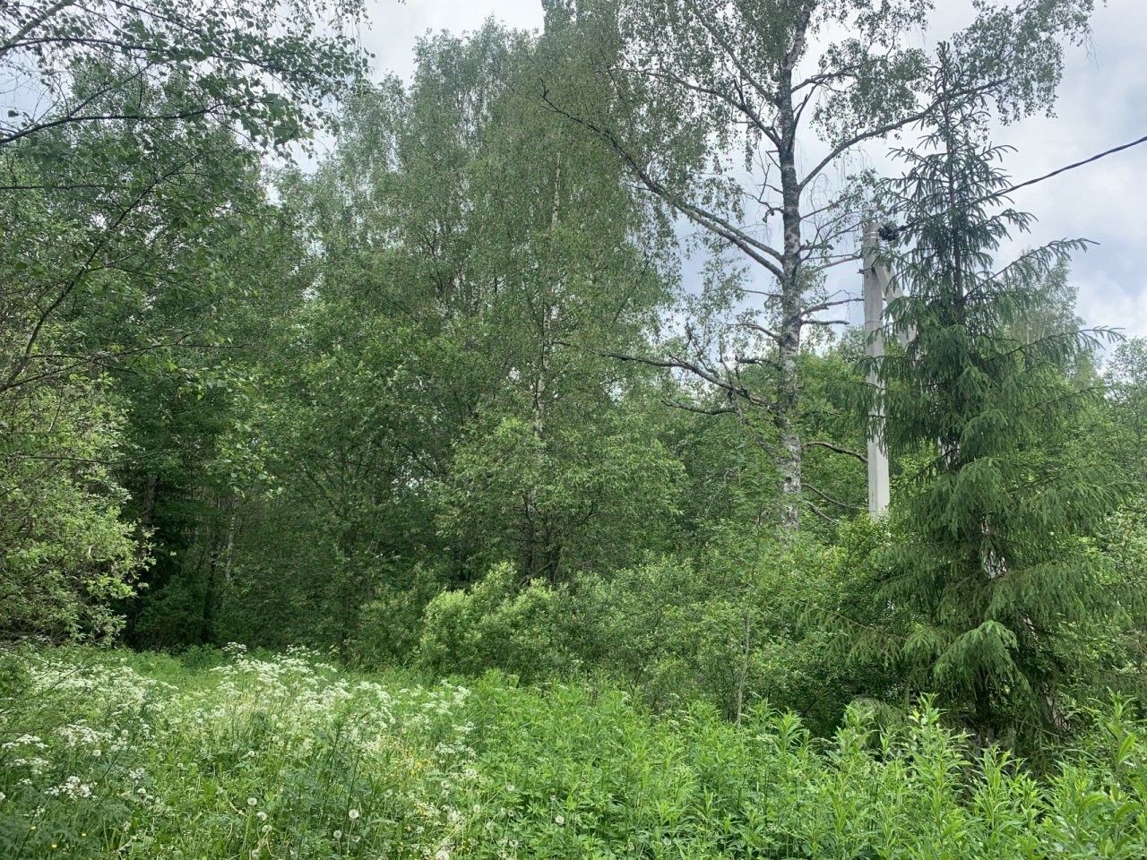 Продажа земли Вырица городской поселок, проспект Мельничный