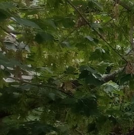 Аренда 2-комн квартиры на вторичном рынке улица Садовники, 10 Аренда 2-комн квартиры на вторичном рынке улица Садовники, 10