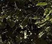 Продать Квартиры вторичка Приозерск, Красноармейская улица, 21   