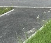 Продать Квартиры вторичка пос. Шушары, Московское шоссе, 256к1   