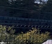 Продать Земельные участки, земля пос. Торфяное, улица Береговая   